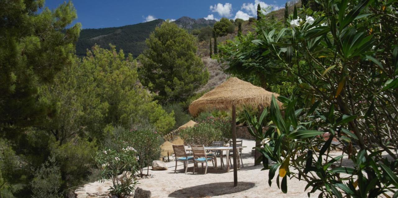 Boutique B&B El Refugio Alcaucín Exteriör bild