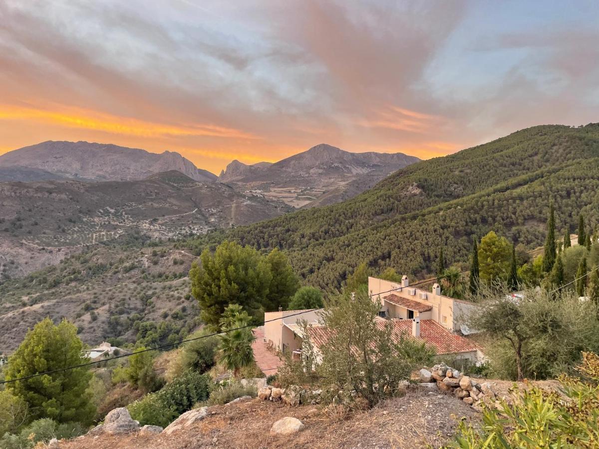 Boutique B&B El Refugio Alcaucín Exteriör bild